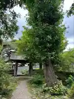 善徳寺(茨城県)