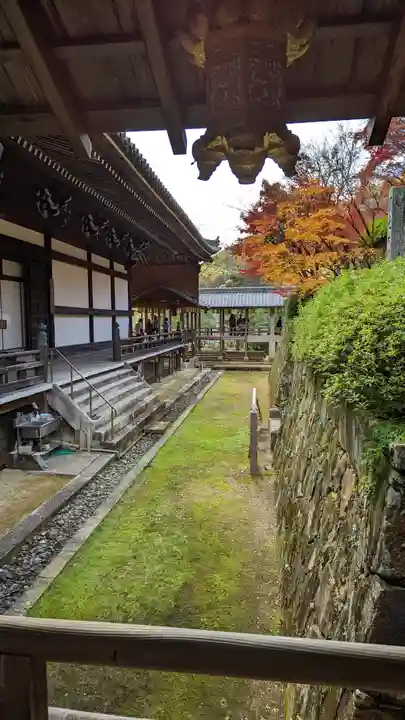 光明寺(粟生光明寺)(京都府)