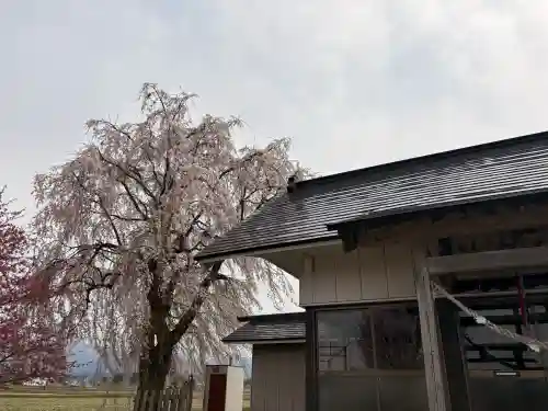 古四王神社の{uncategorized: "未分類", other: "その他", undefined: "問題あり", building: "その他建物", grave: "お墓", sacred_gate: "鳥居", guardian: "狛犬", statue: "像", buddha: "仏像", history: "歴史", nature: "自然", garden: "庭園", animal: "動物", pagoda: "塔", temizu: "手水舎", mountain_gate: "山門・神門", sanctuary: "本殿・本堂", subordinate: "末社・摂社", art: "芸術", scenery: "景色", jizo: "地蔵", ema: "絵馬", goshuin: "御朱印", omikuji: "おみくじ", items: "授与品その他", amulet: "お守り", goshuincho: "御朱印帳", eats: "食事", festival: "お祭り", votive_dance: "神楽", shichigosan: "七五三参", wedding: "結婚式", experience: "体験その他", initially: "初詣", around: "周辺", anti_infection: "感染症対策"}