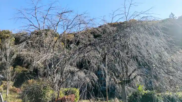 法善寺(埼玉県)