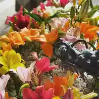 札幌諏訪神社の手水舎