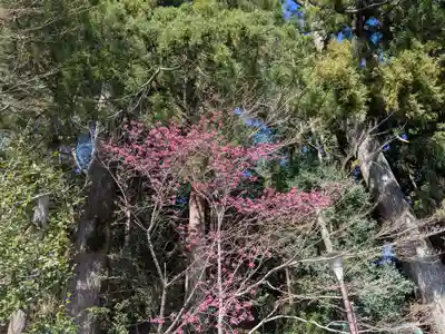 熊野那智大社(和歌山県)