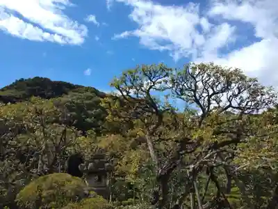 瑞泉寺(神奈川県)