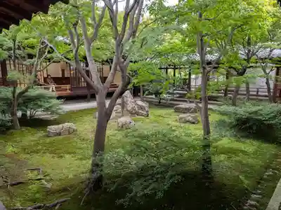 建仁寺（建仁禅寺）(京都府)