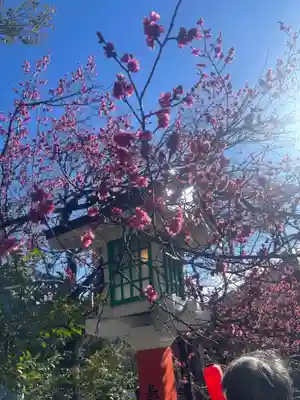 田無神社(東京都)