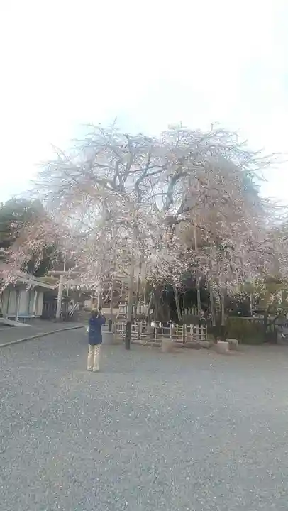 新町御嶽神社(東京都)
