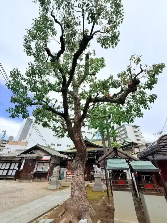 柳原稲荷神社の{uncategorized: "未分類", other: "その他", undefined: "問題あり", building: "その他建物", grave: "お墓", sacred_gate: "鳥居", guardian: "狛犬", statue: "像", buddha: "仏像", history: "歴史", nature: "自然", garden: "庭園", animal: "動物", pagoda: "塔", temizu: "手水舎", mountain_gate: "山門・神門", sanctuary: "本殿・本堂", subordinate: "末社・摂社", art: "芸術", scenery: "景色", jizo: "地蔵", ema: "絵馬", goshuin: "御朱印", omikuji: "おみくじ", items: "授与品その他", amulet: "お守り", goshuincho: "御朱印帳", eats: "食事", festival: "お祭り", votive_dance: "神楽", shichigosan: "七五三参", wedding: "結婚式", experience: "体験その他", initially: "初詣", around: "周辺", anti_infection: "感染症対策"}