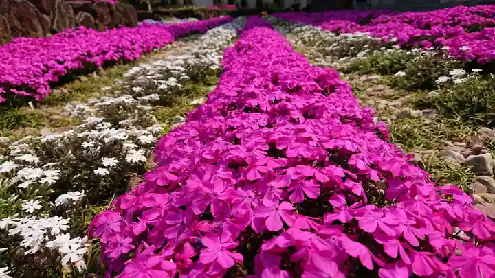 寿量山 速成寺の庭園