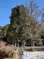 大野瀬神社(愛知県)