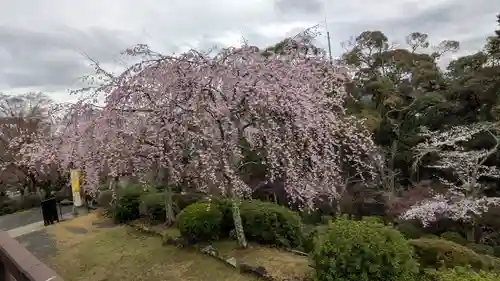 石山寺(滋賀県)