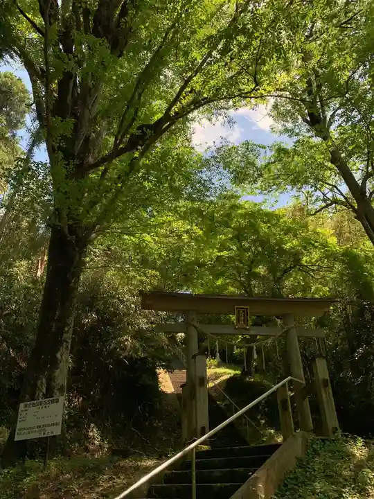 大作神社の鳥居