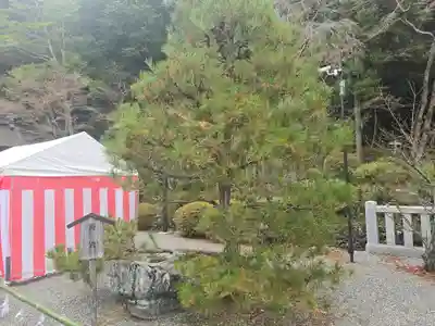 出雲大神宮(京都府)