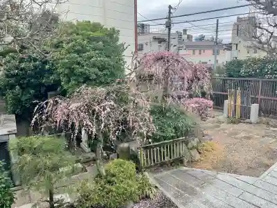 常泉寺(東京都)