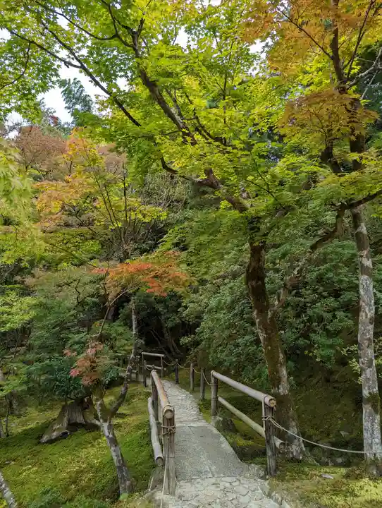 慈照寺(慈照禅寺・銀閣寺)(京都府)