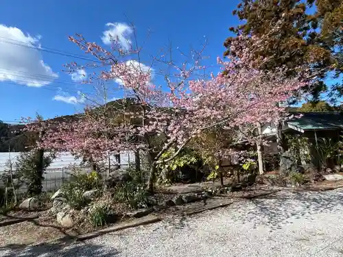 天津神明宮(千葉県)