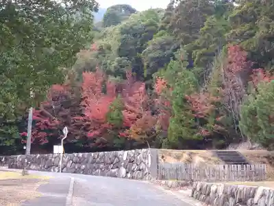 包ケ浦神社の自然