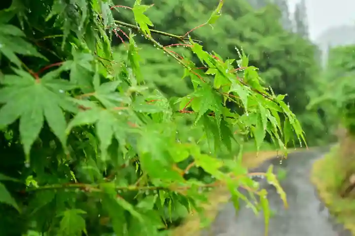 高龍神社 奥之院(新潟県)