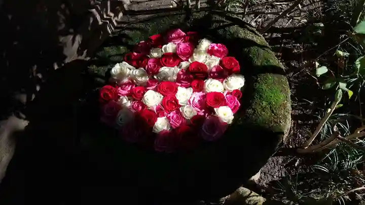 菅生神社の手水舎