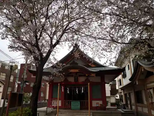 浅草富士浅間神社の本殿・本堂