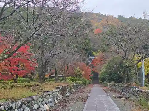 酒波寺(滋賀県)