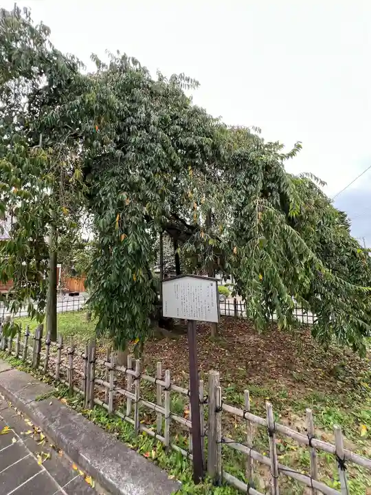 円東寺(福島県)