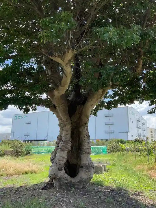 熊野社(愛知県)