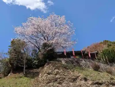 石内のお大師さん　金剛院の自然