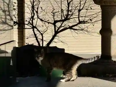 白金氷川神社(東京都)