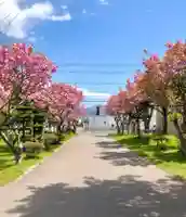 伊達神社の自然