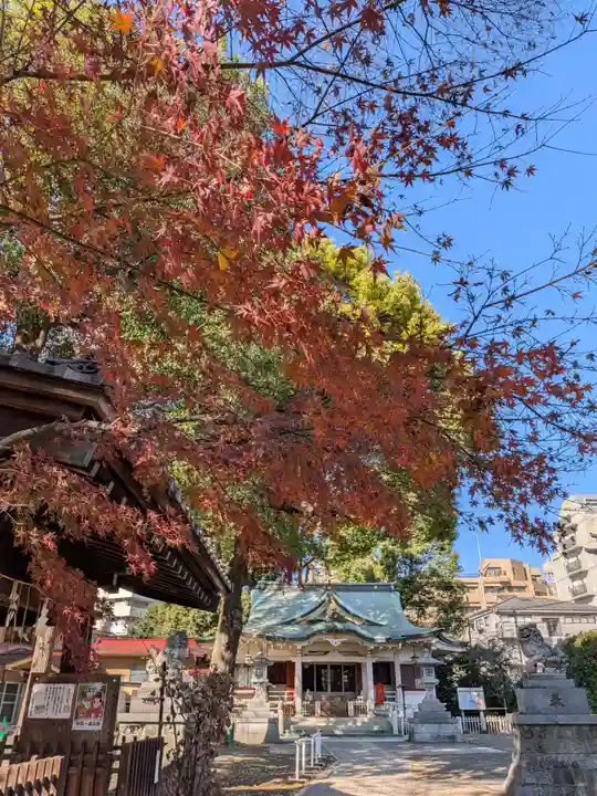 荻窪白山神社(東京都)