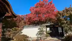 妙覺寺（妙覚寺）(京都府)