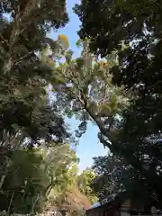 石清水八幡宮(京都府)