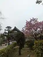 源空寺(東京都)