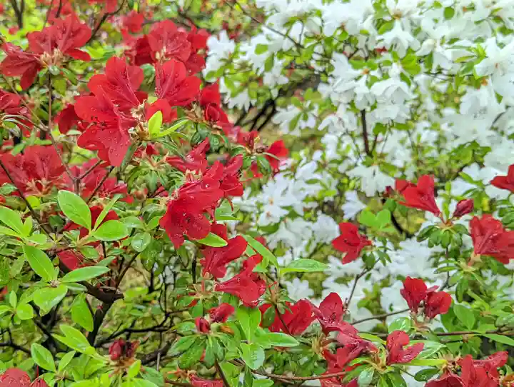 城南宮(京都府)