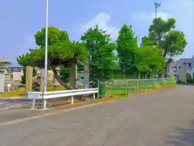 天神社（山之腰）の自然