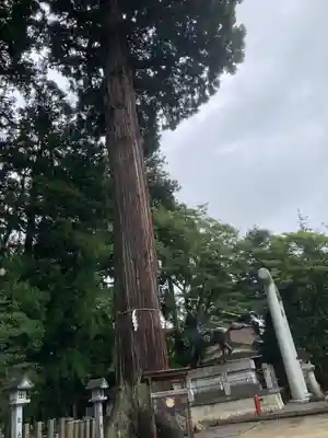 田村神社(滋賀県)