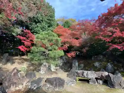 圓徳院(京都府)