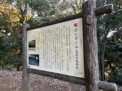 高負彦根神社(埼玉県)