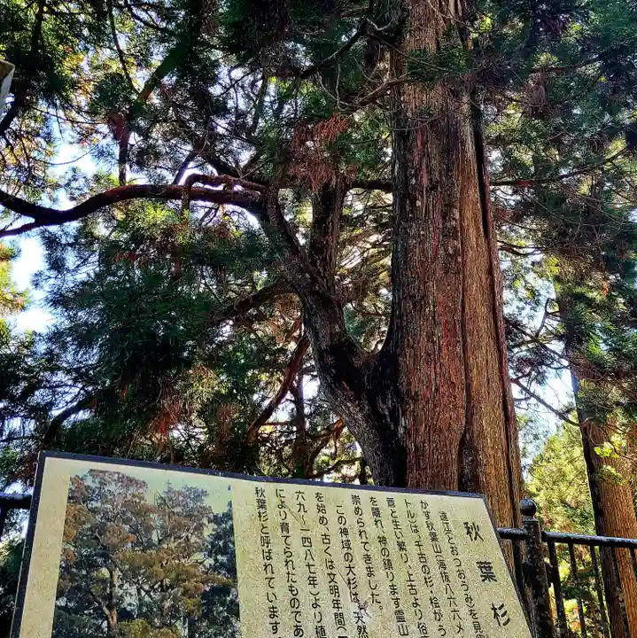 秋葉山本宮 秋葉神社 上社(静岡県)