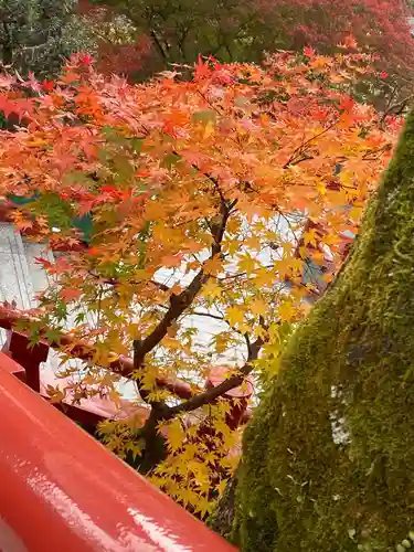 祐徳稲荷神社の庭園