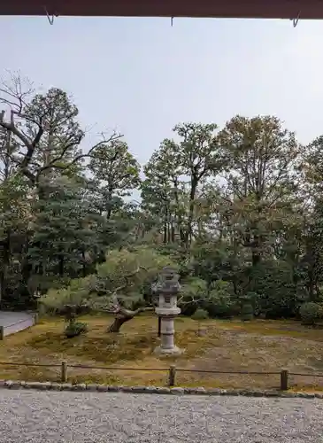 退蔵院(京都府)