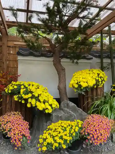 牛天神北野神社の庭園