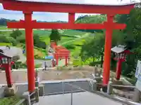 高屋敷稲荷神社の鳥居