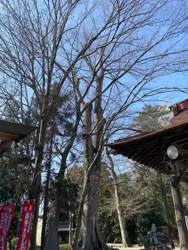 妻沼聖天山歓喜院のその他建物