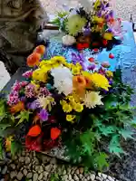 滑川神社 - 仕事と子どもの守り神の手水舎