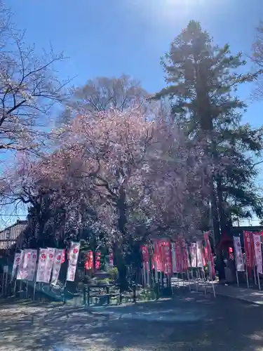白岡八幡神社(埼玉県)