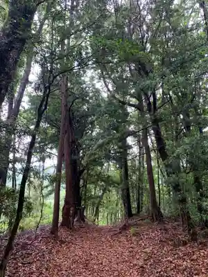 愛宕神社の周辺
