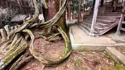 千磐神社(岡山県)