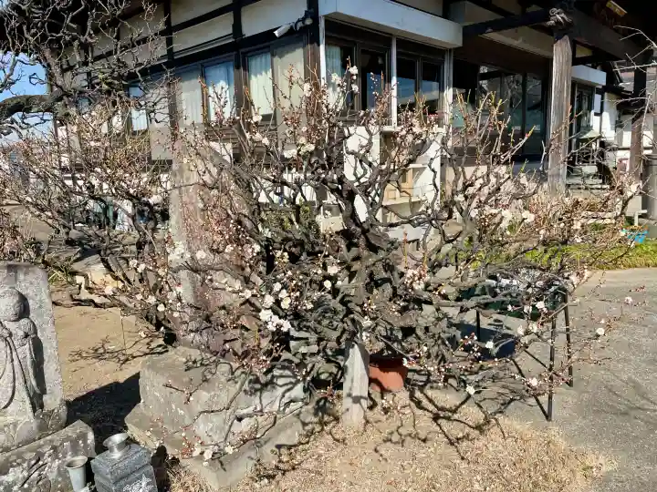 天王院の{uncategorized: "未分類", other: "その他", undefined: "問題あり", building: "その他建物", grave: "お墓", sacred_gate: "鳥居", guardian: "狛犬", statue: "像", buddha: "仏像", history: "歴史", nature: "自然", garden: "庭園", animal: "動物", pagoda: "塔", temizu: "手水舎", mountain_gate: "山門・神門", sanctuary: "本殿・本堂", subordinate: "末社・摂社", art: "芸術", scenery: "景色", jizo: "地蔵", ema: "絵馬", goshuin: "御朱印", omikuji: "おみくじ", items: "授与品その他", amulet: "お守り", goshuincho: "御朱印帳", eats: "食事", festival: "お祭り", votive_dance: "神楽", shichigosan: "七五三参", wedding: "結婚式", experience: "体験その他", initially: "初詣", around: "周辺", anti_infection: "感染症対策"}