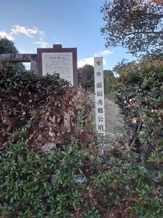 田原八幡宮(藤原秀郷公墳墓)(栃木県)